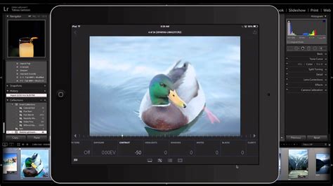 Adobe Lightroom for iPad 12+ .